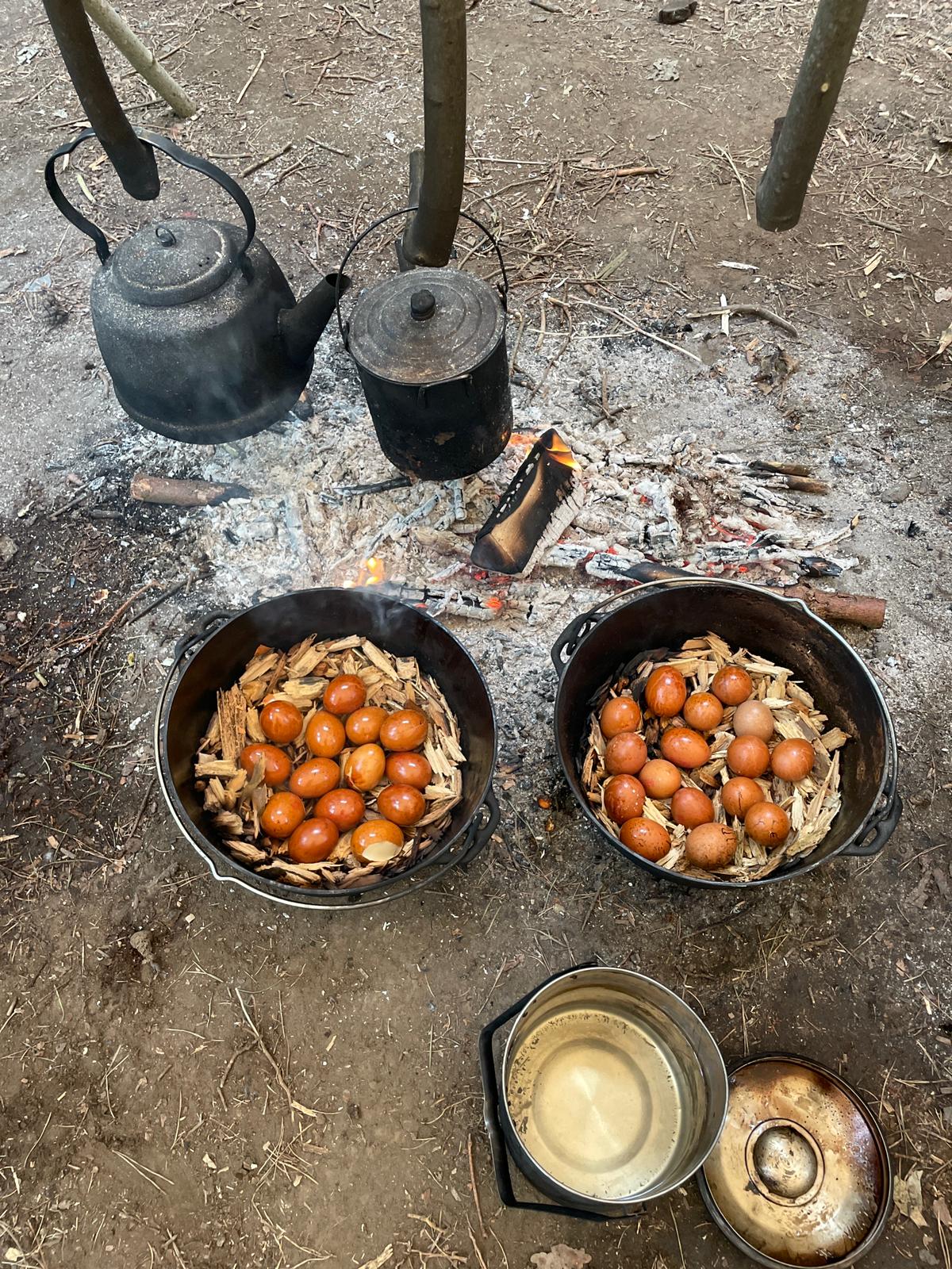 Bushcraft & Wilderness Survival Skills Residential supporting image