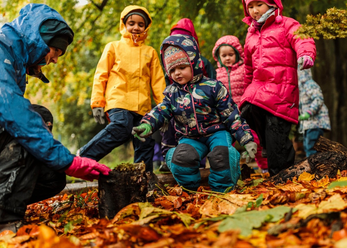 Outdoor learning expertise supporting image