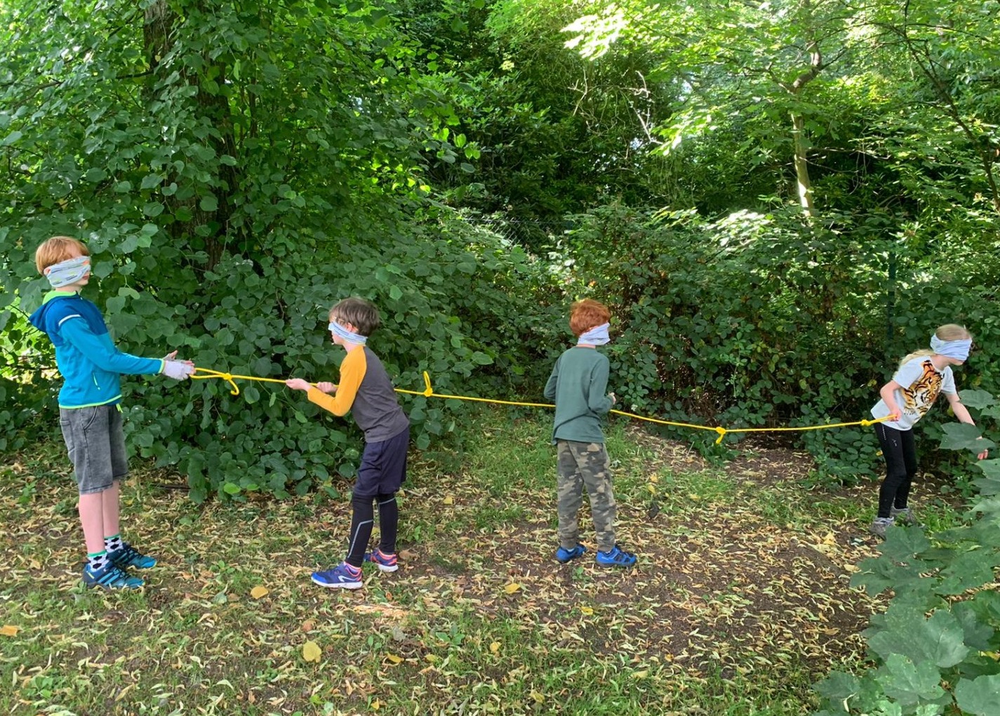 Team building