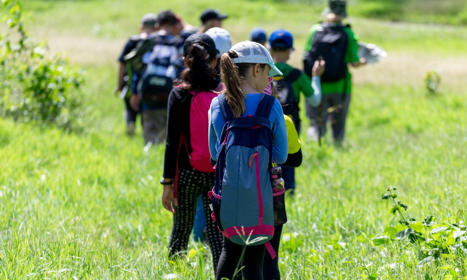 The John Muir Award in Action    supporting image