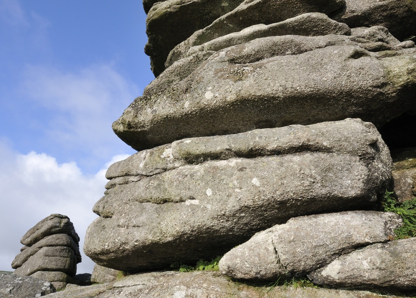 Dartmoor supporting image